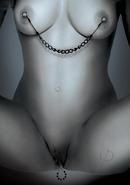 Ffle Nipple And Clit Jewelry Black